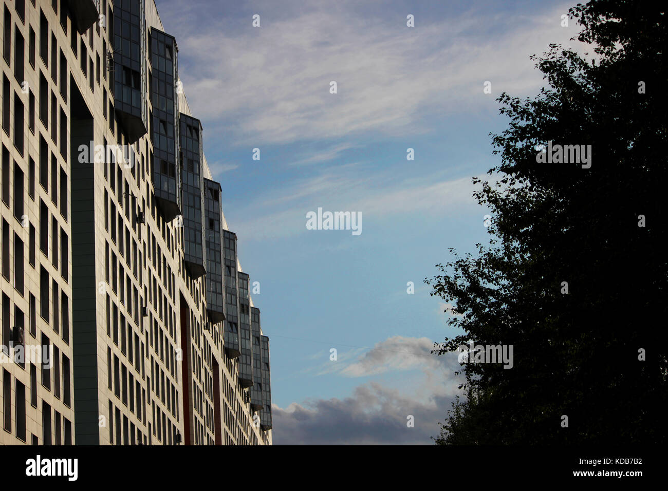 windows office building and trees against the blue sky Stock Photo - Alamy