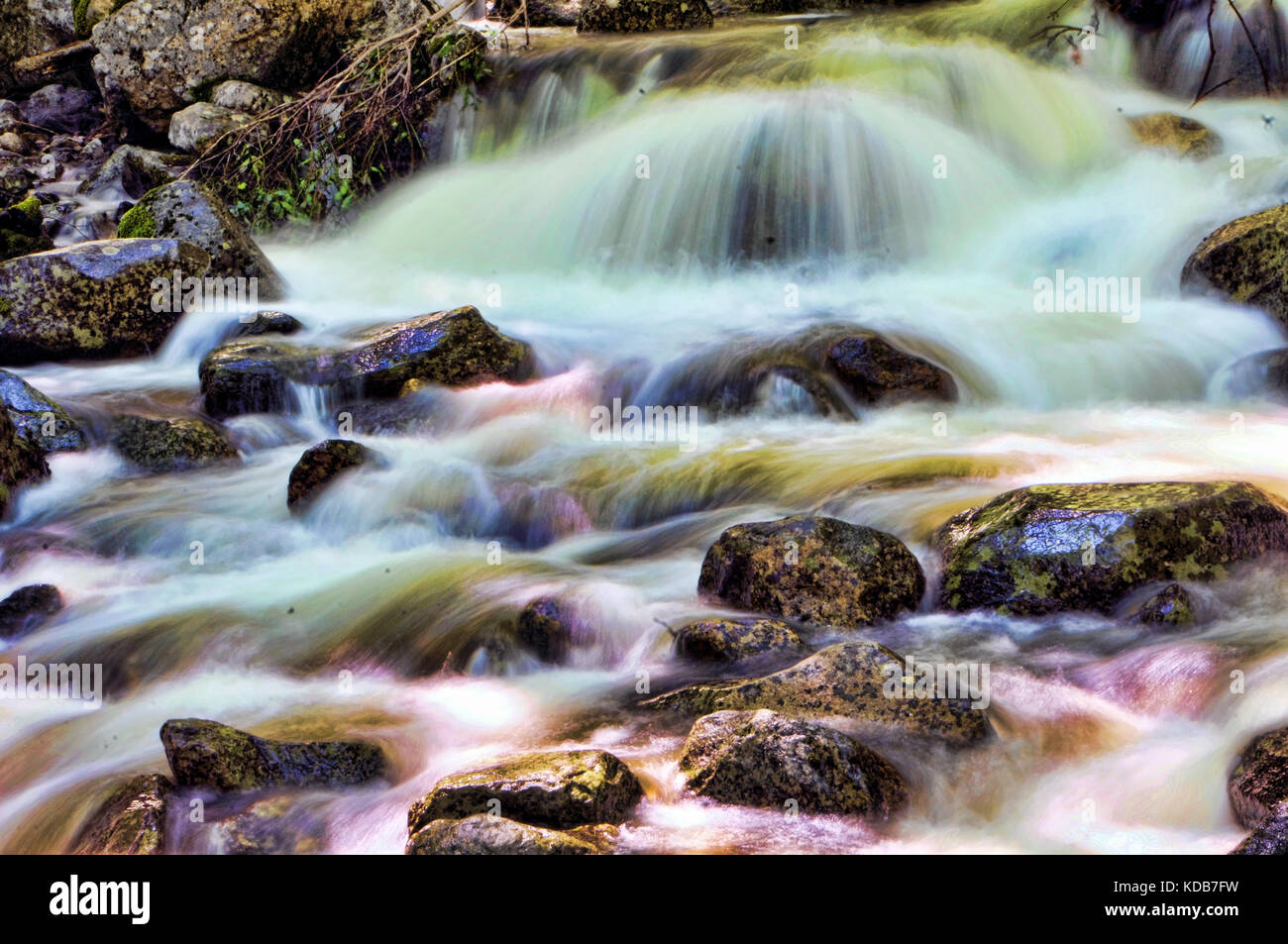 Fast flowing water in forest hi-res stock photography and images - Alamy