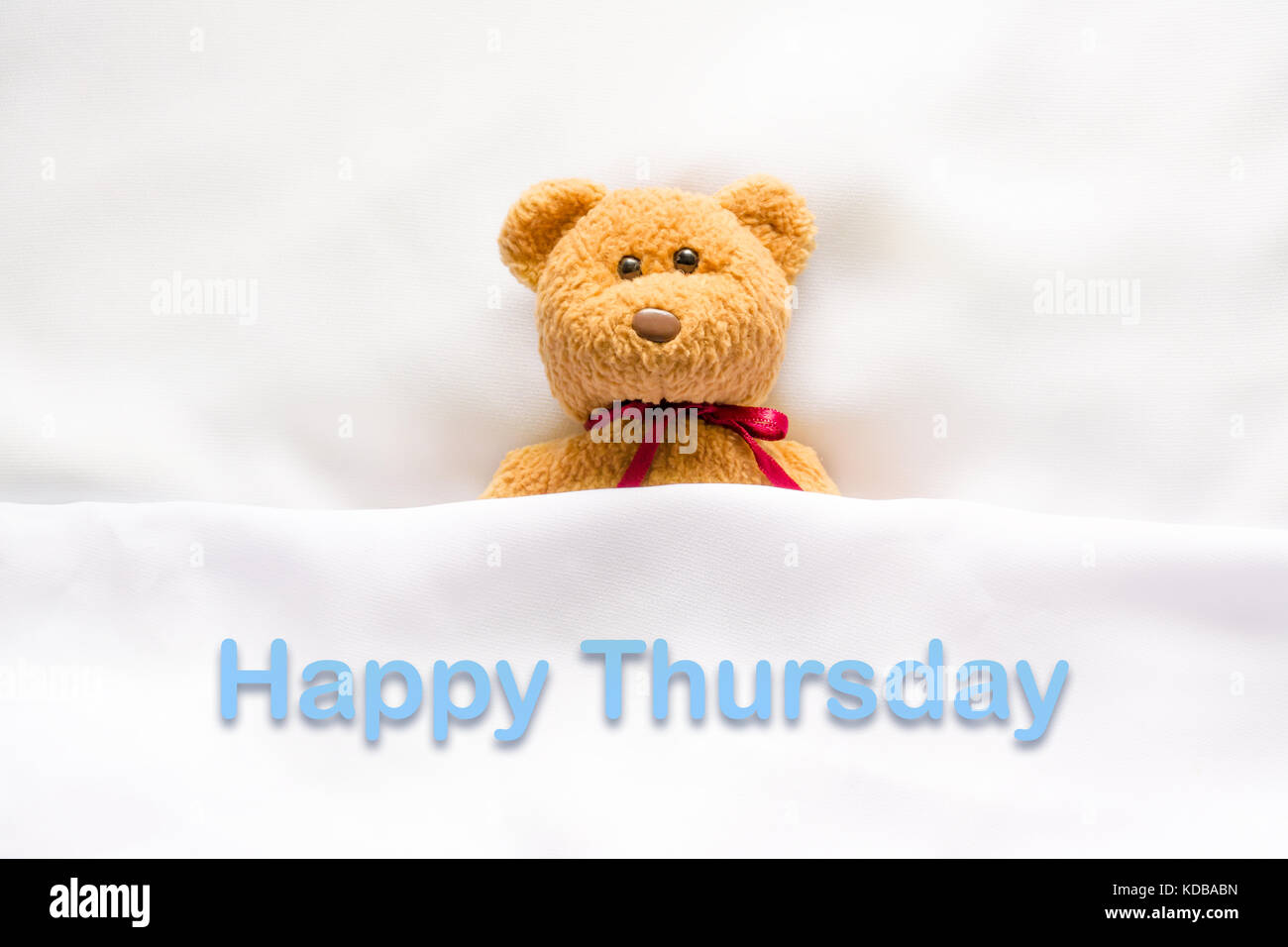 Teddy Bear lying with message "  Happy  Thursday" Stock Photo