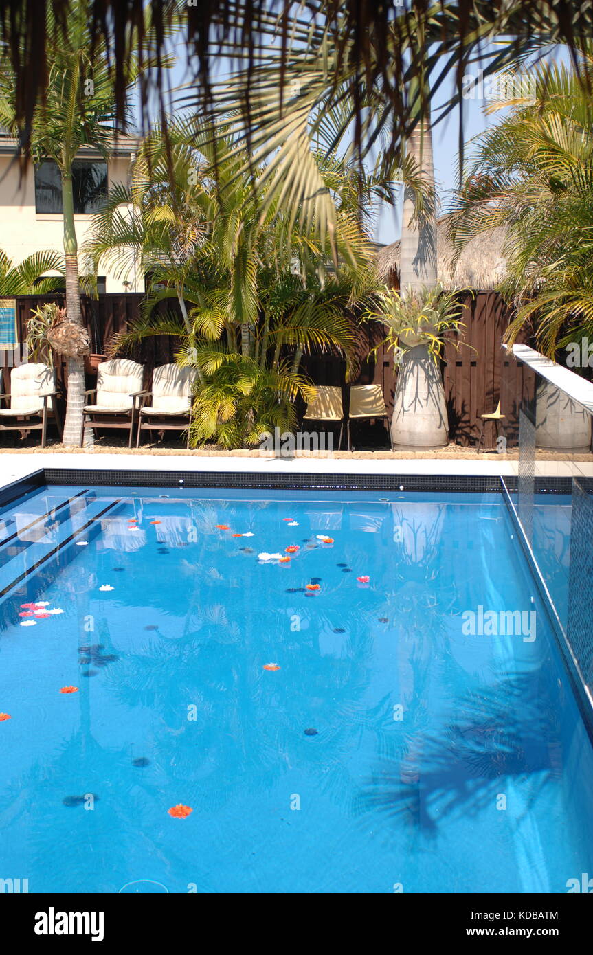 Pool decorated for a wedding, Gold Coast, Australia. Stock Photo