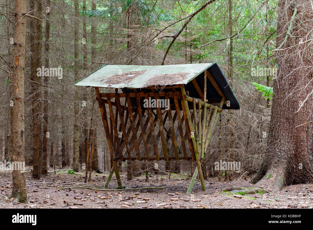Hunting Feeder With Roof For Roe Deer And Wild Animals In Forest