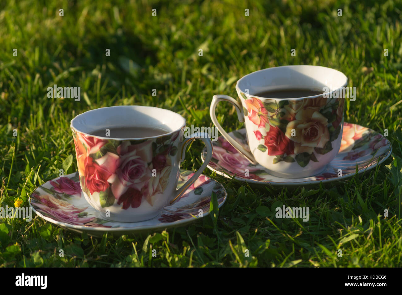Coffee on the grass, Stock Photo