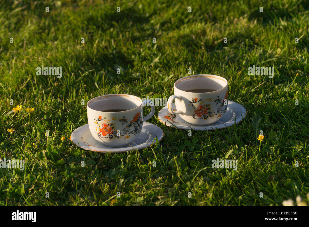 Coffee on the grass, Stock Photo