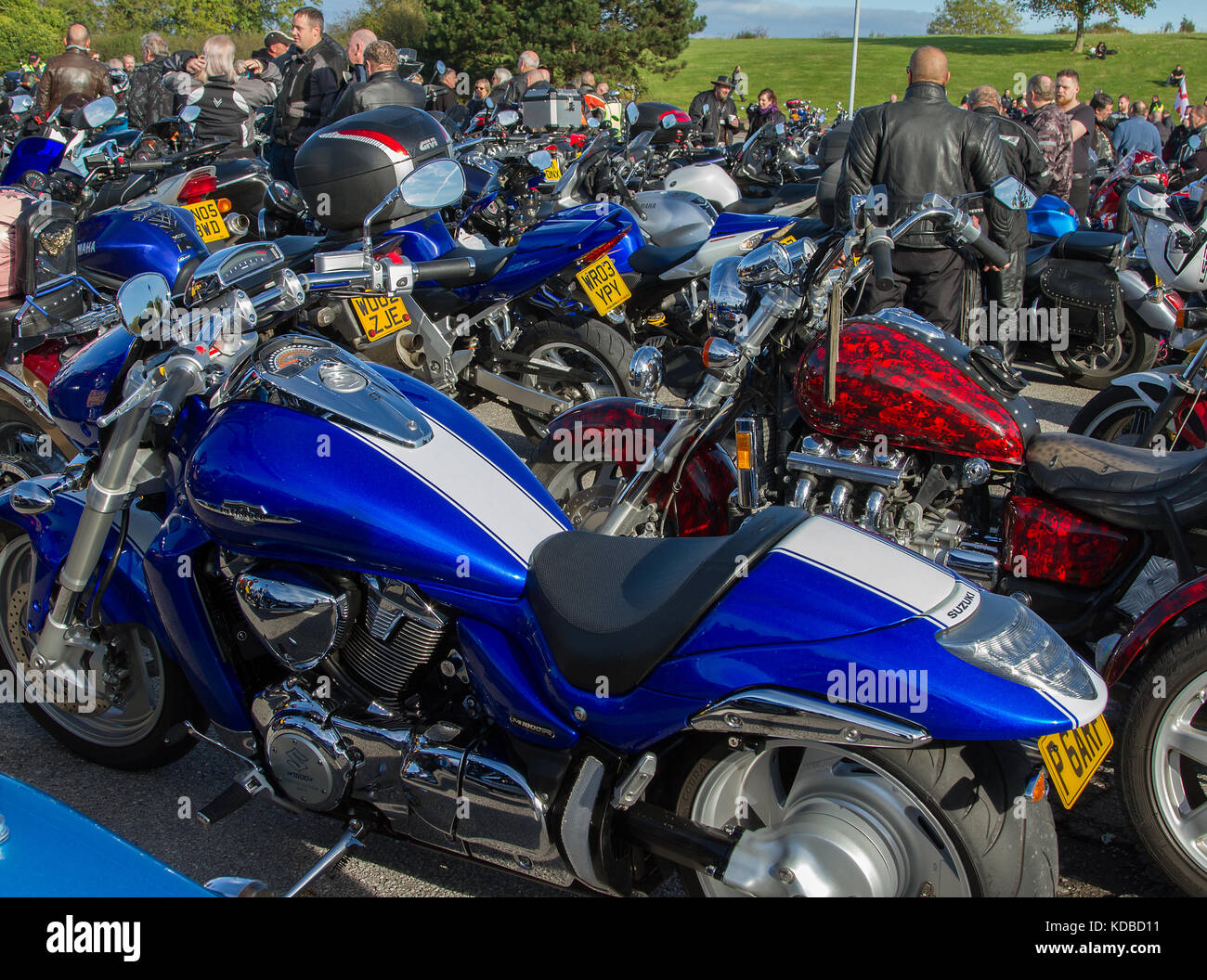 Hoggin the bridge hi-res stock photography and images - Alamy