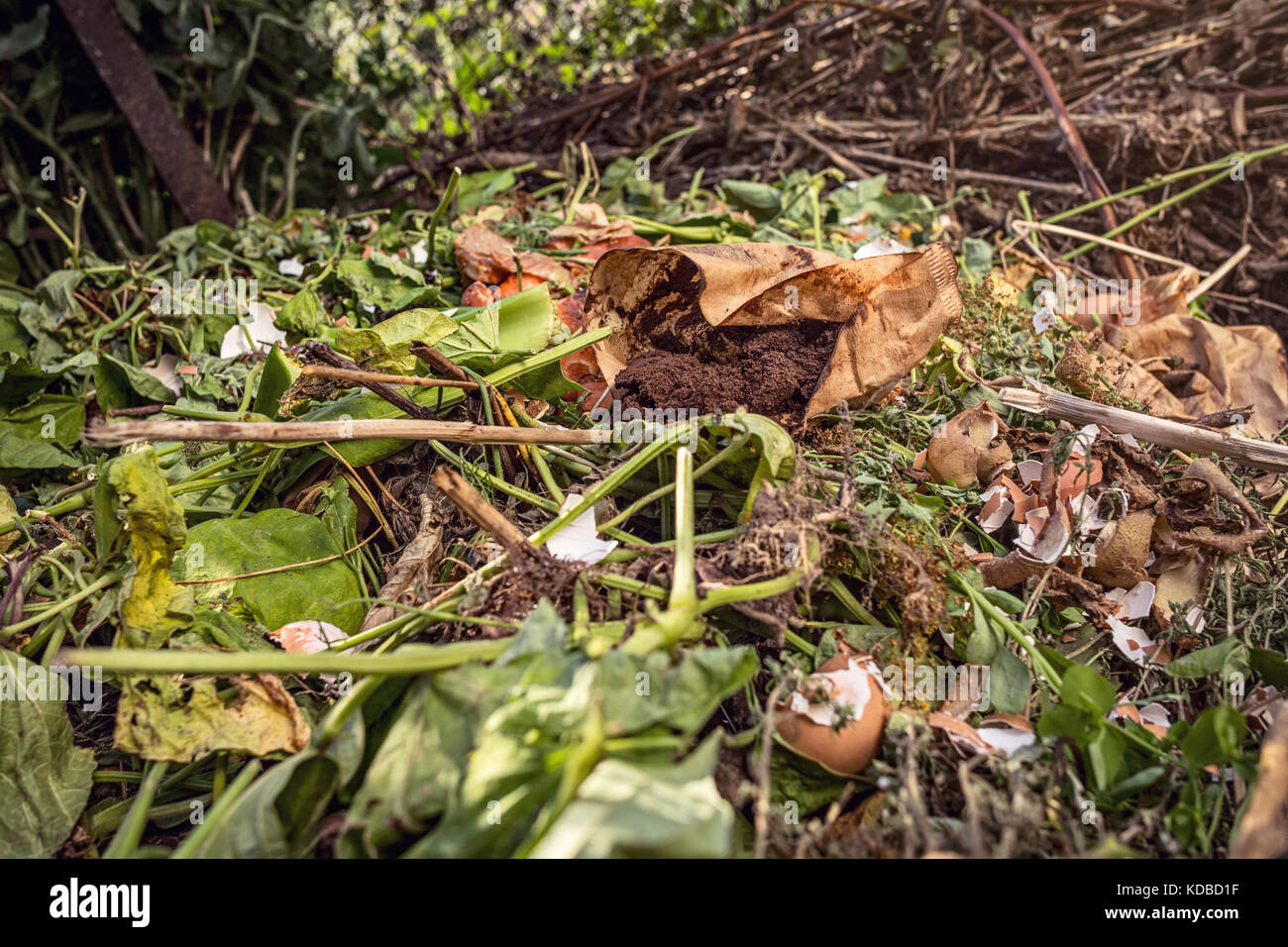 Recycling coffee grounds hires stock photography and images Alamy