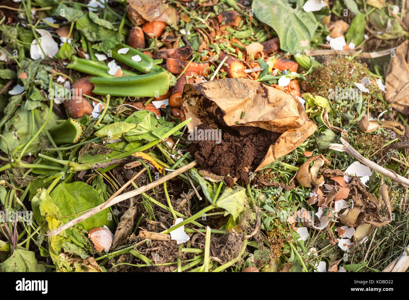 Used coffee grounds on a compost Stock Photo Alamy