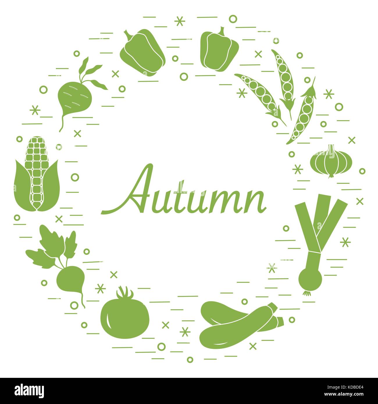 Cute vector illustration of different autumn seasonal vegetables ...