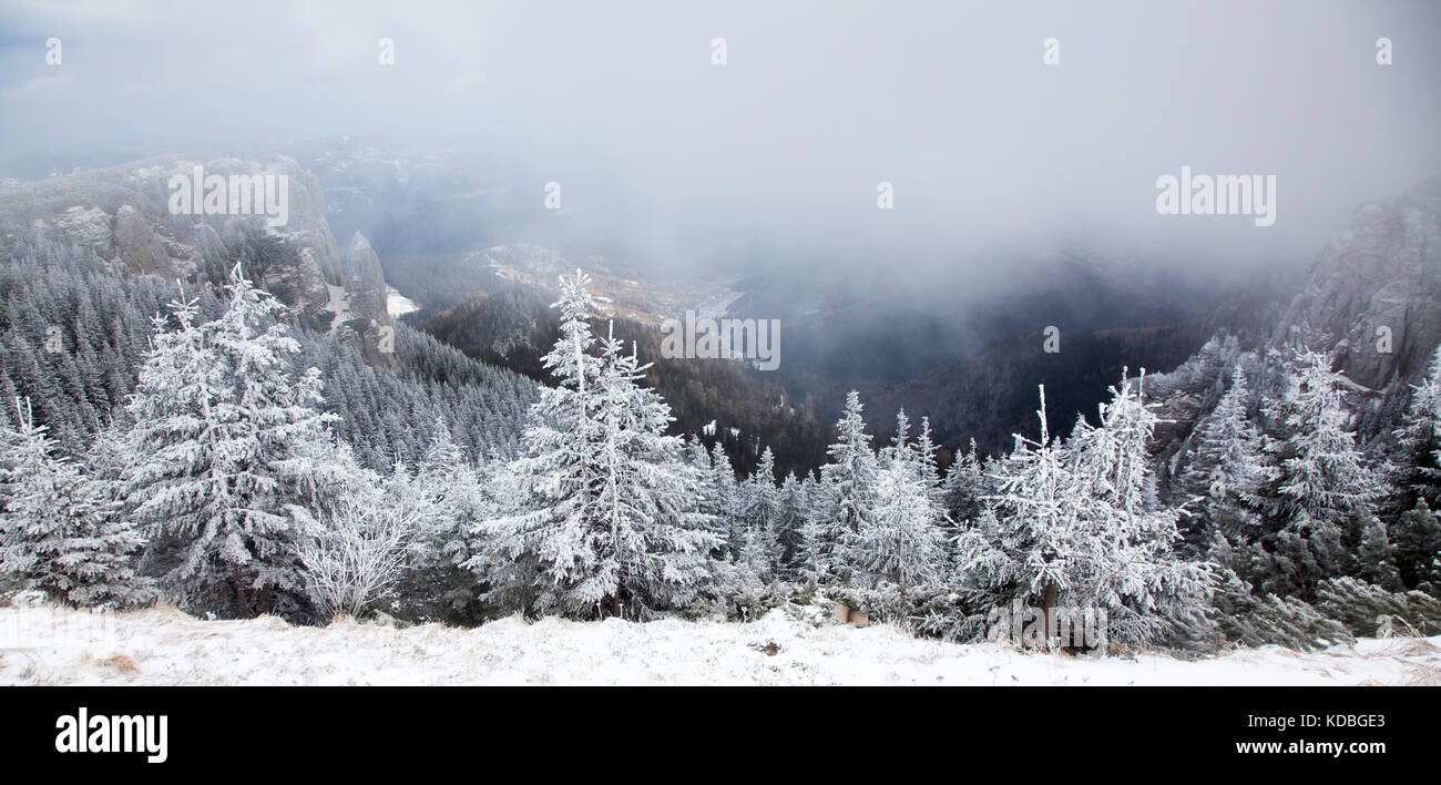 winter landscape with snowy fir trees in the mountains Stock Photo - Alamy