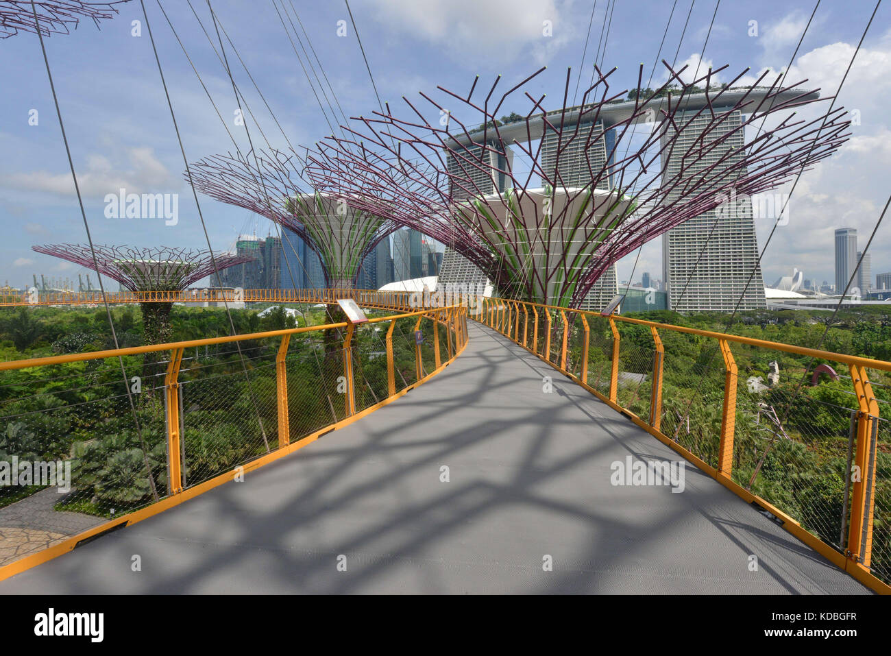 Singapore. 2016/05/20. The huge park 'Gardens by the Bay' (101 hectares), close to Marina Bay. The Supertrees, huge tree-like structures with heights  Stock Photo