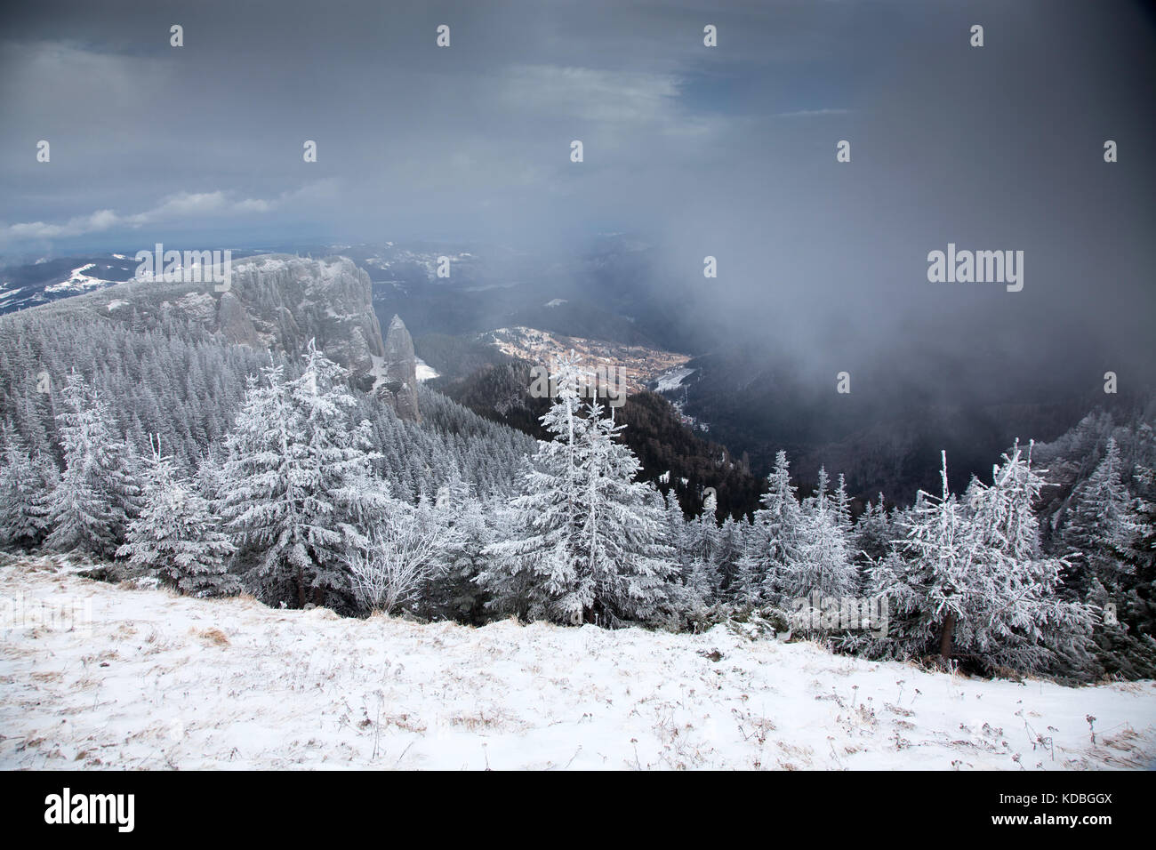winter landscape with snowy fir trees in the mountains Stock Photo - Alamy