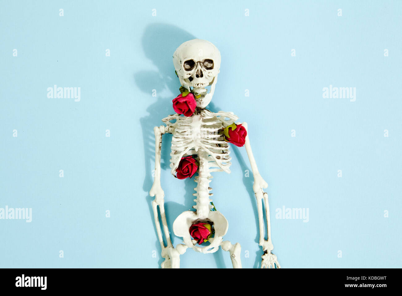 toy skeleton bones