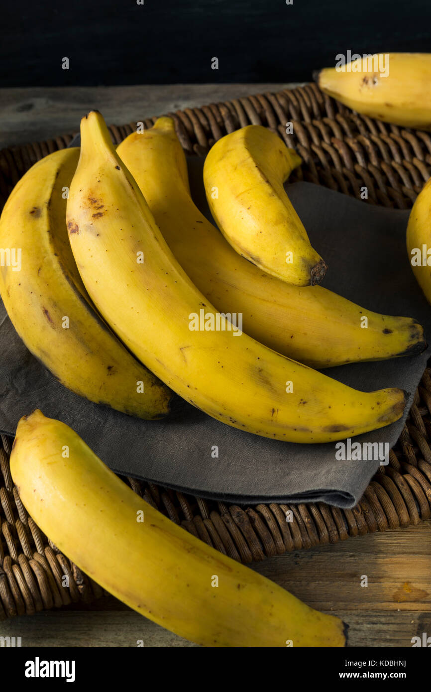 Raw Organic Yellow Plantain Bananas Ready to Chop Stock Photo Alamy
