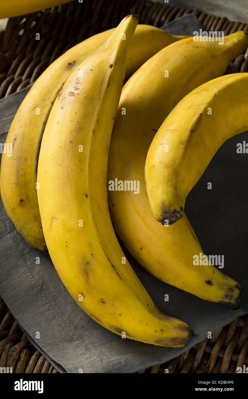 Raw Organic Yellow Plantain Bananas Ready to Chop Stock Photo Alamy