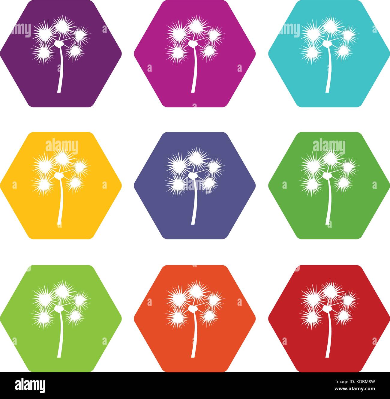 Spiny tropical palm tree icon set color hexahedron Stock Vector Image ...
