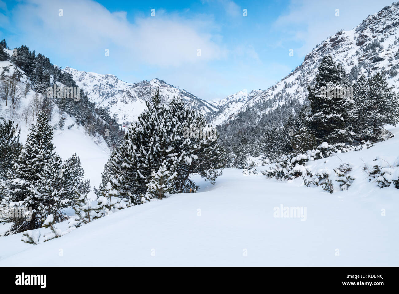Morning after a snowfall in the mountains of Ordino in Andorra Stock Photo