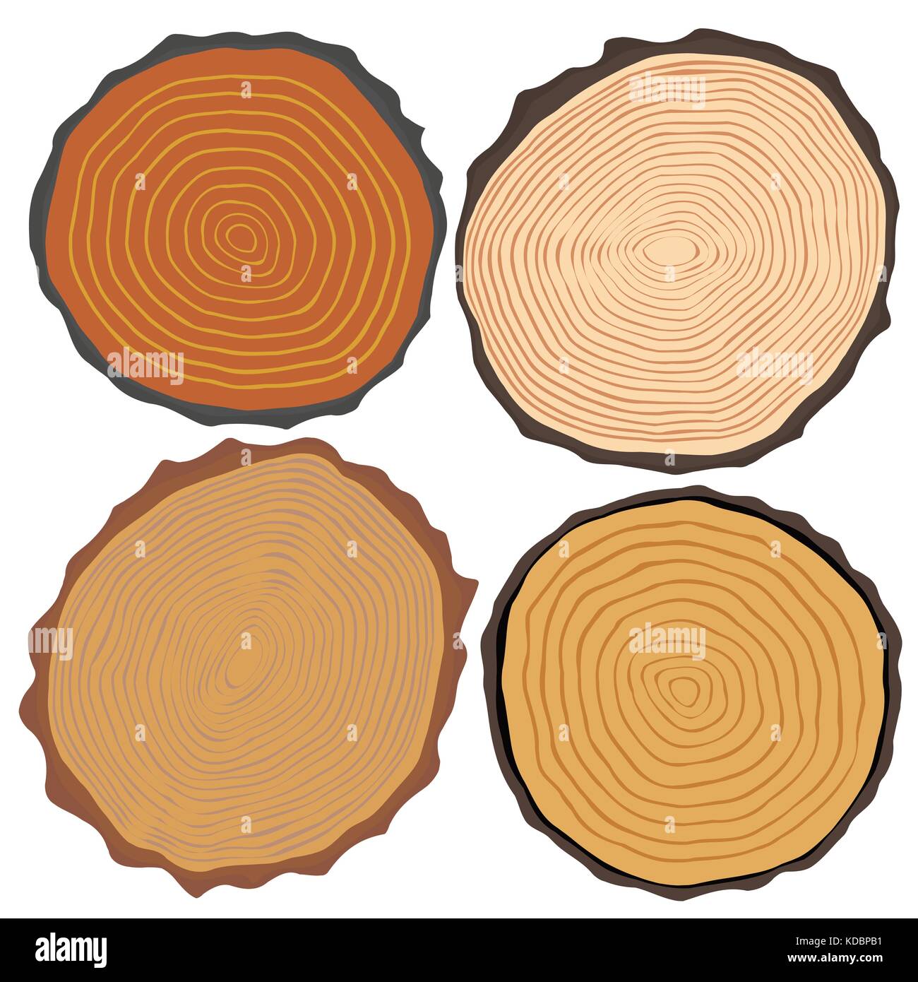 Wood texture and elements isolated. Vector illustration Stock Vector