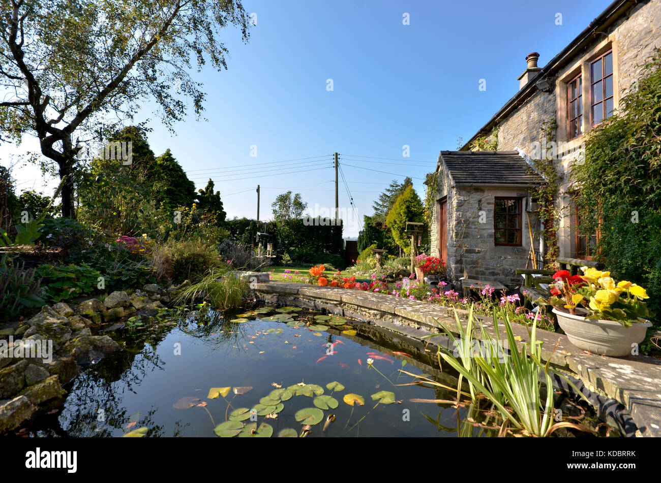pond outside derbyshire farmhouse cottage Stock Photo