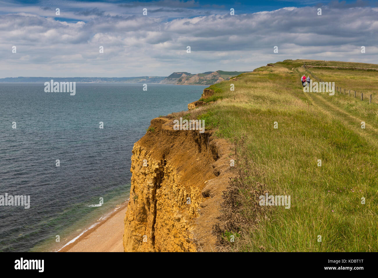 A group of walkers on the South West Coast Path at Burton Bradstock sandstone cliffs on the Jurassic Coast, Dorset, England, UK Stock Photo