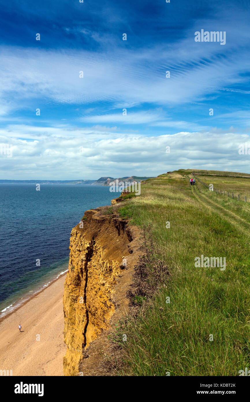 A group of walkers on the South West Coast Path at Burton Bradstock sandstone cliffs on the Jurassic Coast, Dorset, England, UK Stock Photo