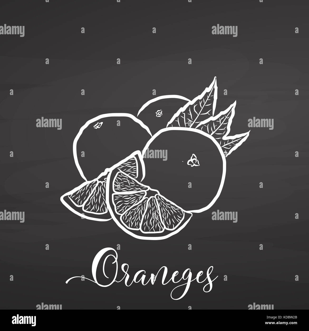 Sliced Oranges. Chalk on chalkboard. Hand drawn healthy food sketch. Black and White Vector Drawing on Blackboard. Stock Photo