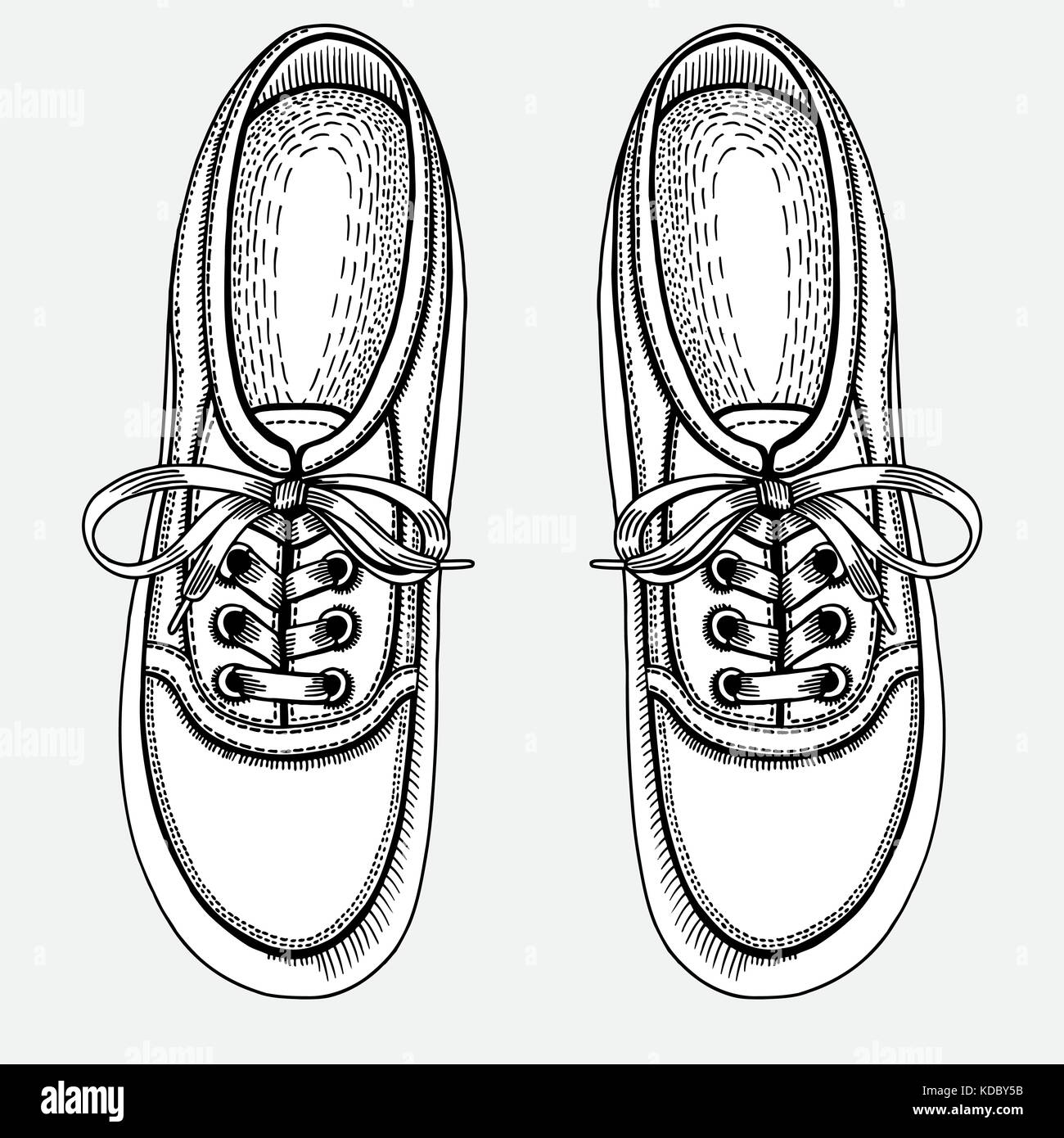 Vector Sketch Illustration, Pair of Skaters Shoes. Top View Stock ...
