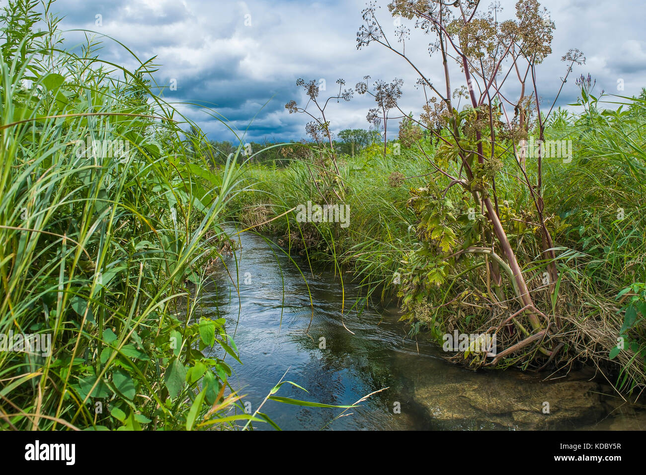 Gilbert Creek Fishery and Wildlife Area near Menomonie, Wisconsin Stock