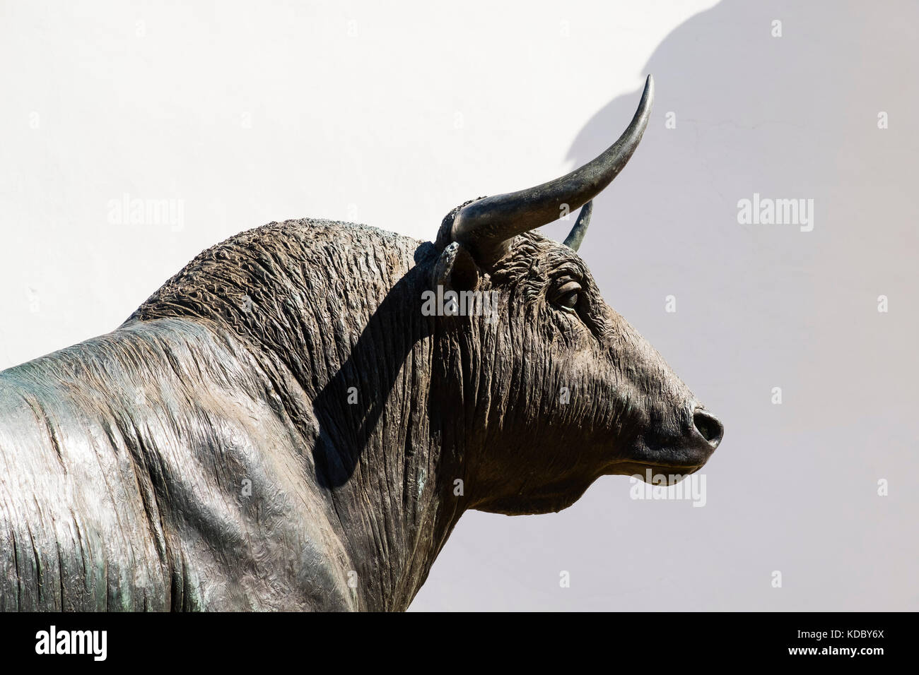 Sculpture of a bull, Real Maestranza de Caballeria, Plaza de Toros. Bullring Ronda. Málaga province Costa del Sol, Andalusia. Southern Spain Europe Stock Photo