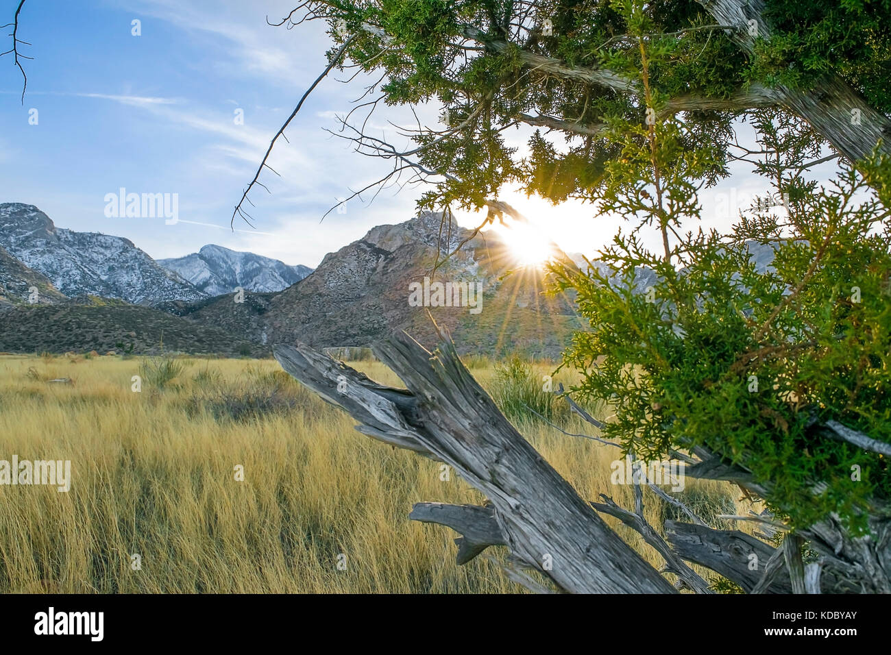 The peaks of Mount Graham from Fry Mesa near Thatcher, Arizona Stock 