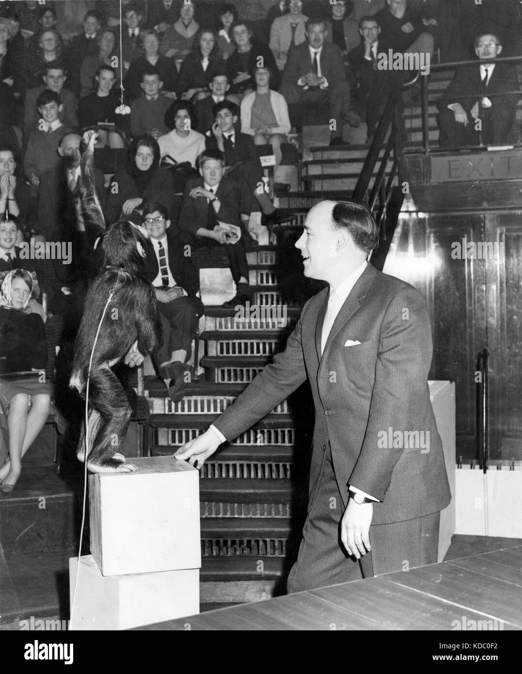 Desmond morris hi-res stock photography and images - Alamy