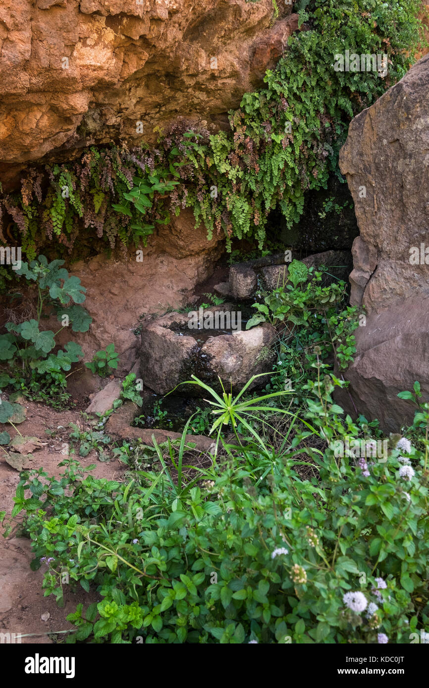 Seeping Ground Spring Water trough stone hi-res stock photography and images - Alamy
