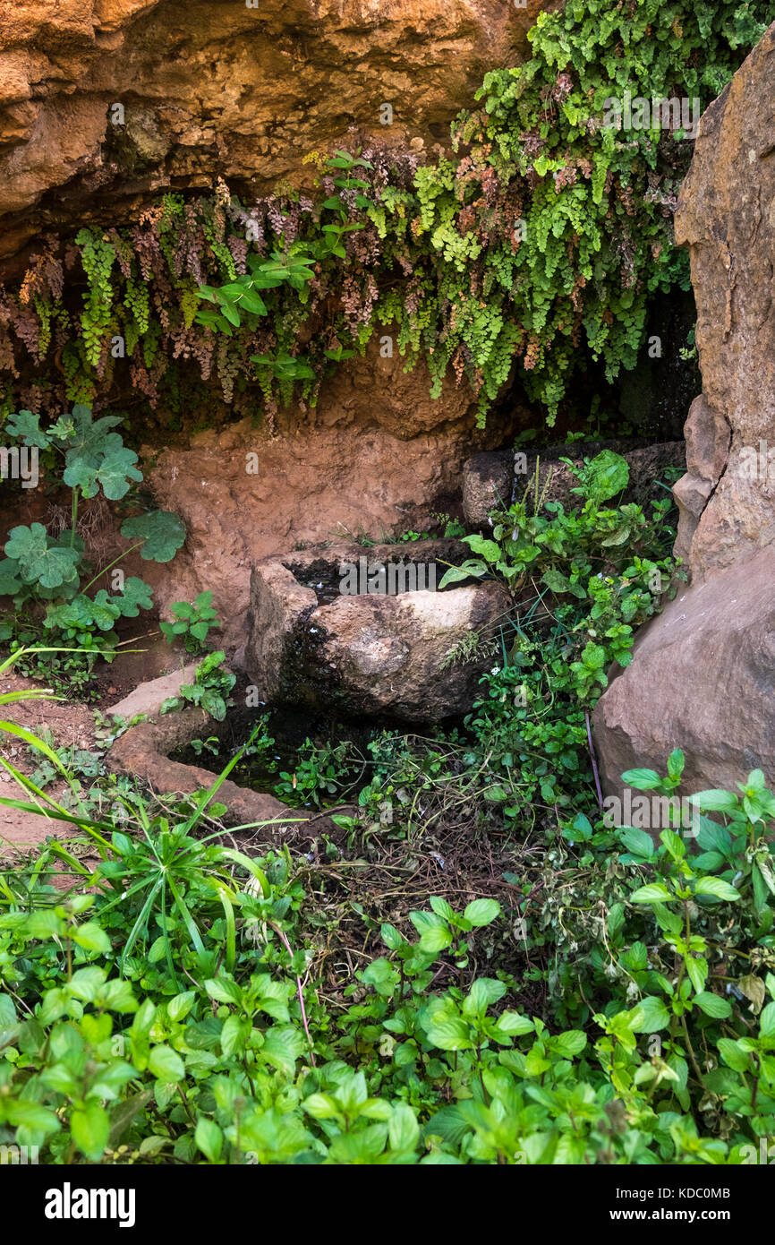 Spring water seeping from the cliff into stone basins in Ifonche, Adeje, Tenerife, Canary Islands, Spain Stock Photo