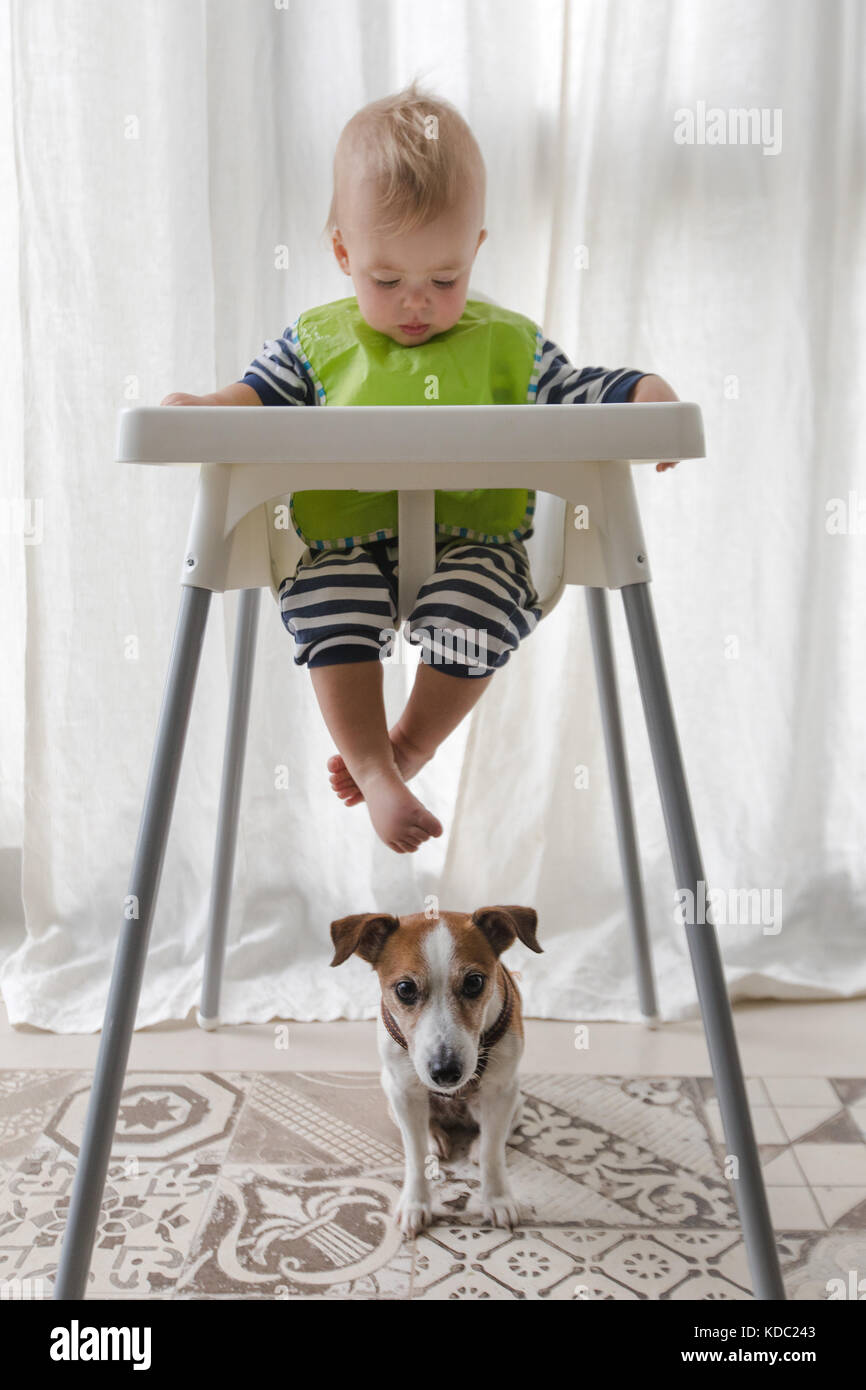 Cute boy and dog under high chair on a white background Stock Photo