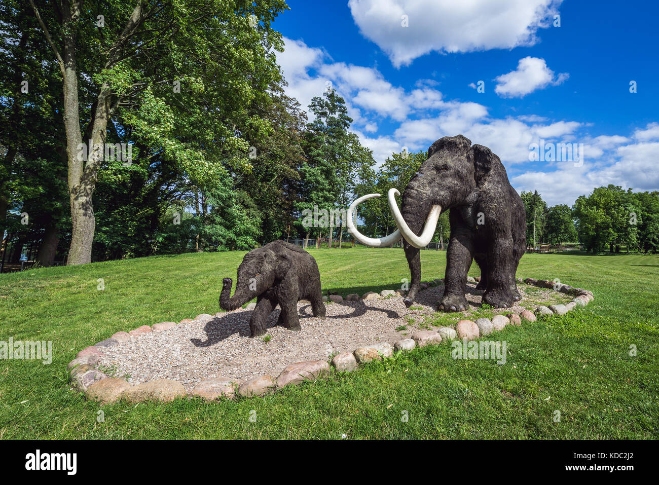 Model of extinct specie Mammuthus primigenius - Woolly mammoth in geopark called 'Avenue of Pleistocene Stars' in Moryn town in Gryfino County, West P Stock Photo