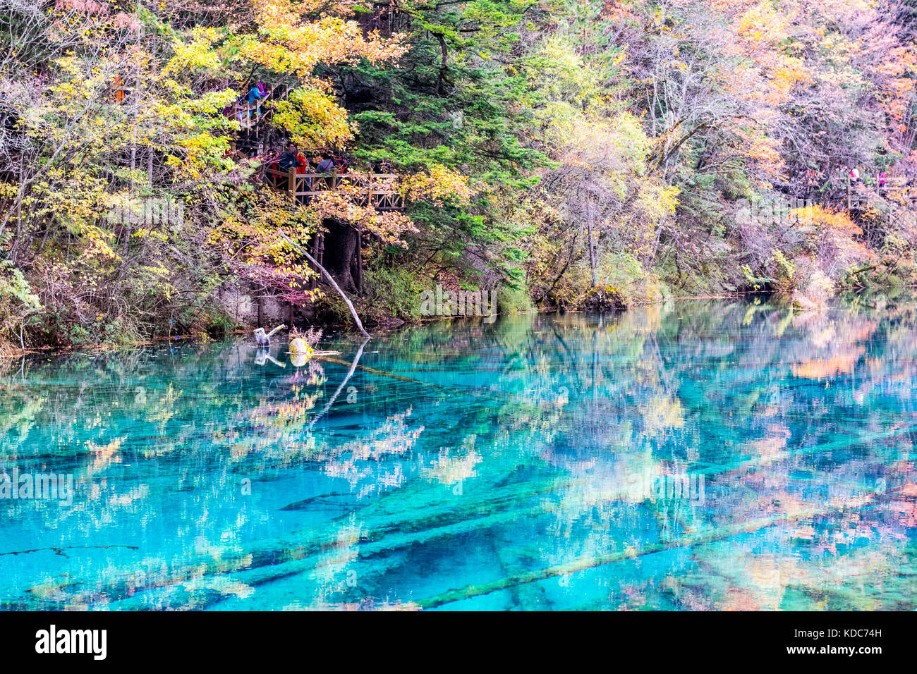 Autumn colours and holidaymakers in Jiuzhaigou, Sichuan province, China Stock Photo