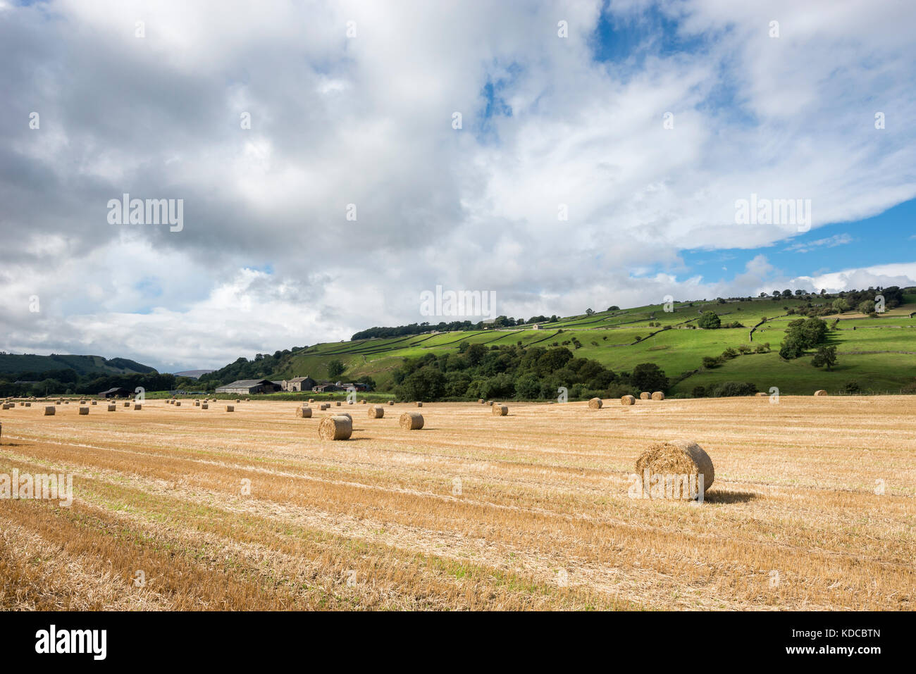 Round hay bales in Lower Swaledale, North Yorkshire England. A sunny ...