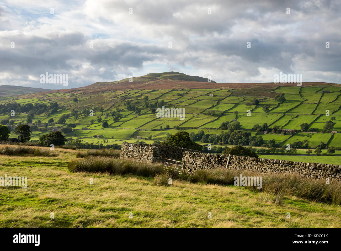 Beautiful countryside around Reeth in Swaledale, North Yorkshire, England. Stock Photo