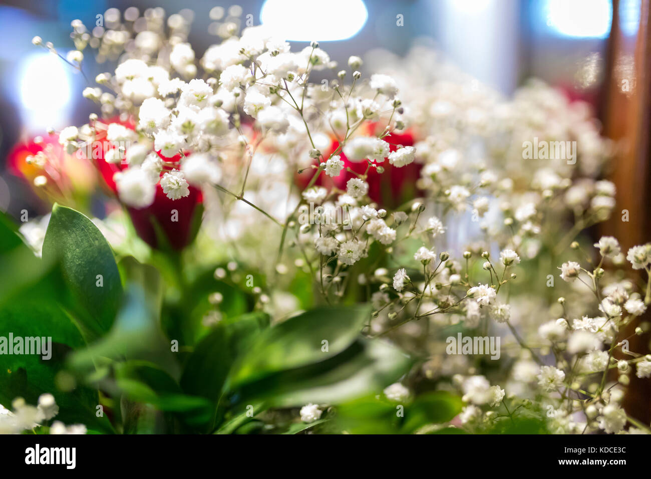 White gypsophila babies breath Bristol Fairy flowers close up in a wedding bouquet Stock Photo