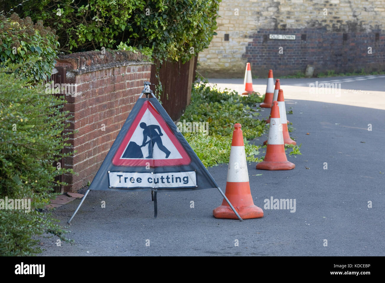 Cutting back overgrown shrubs on a public highway. Stock Photo