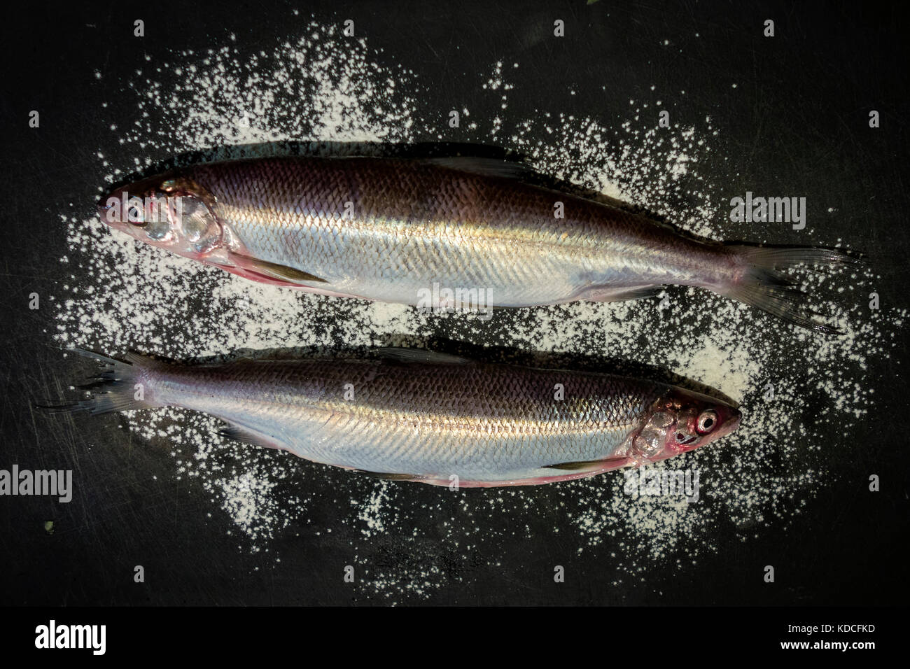 Renken Fish (Coregonus) from Ammersee - Bavarian Speciality Stock Photo