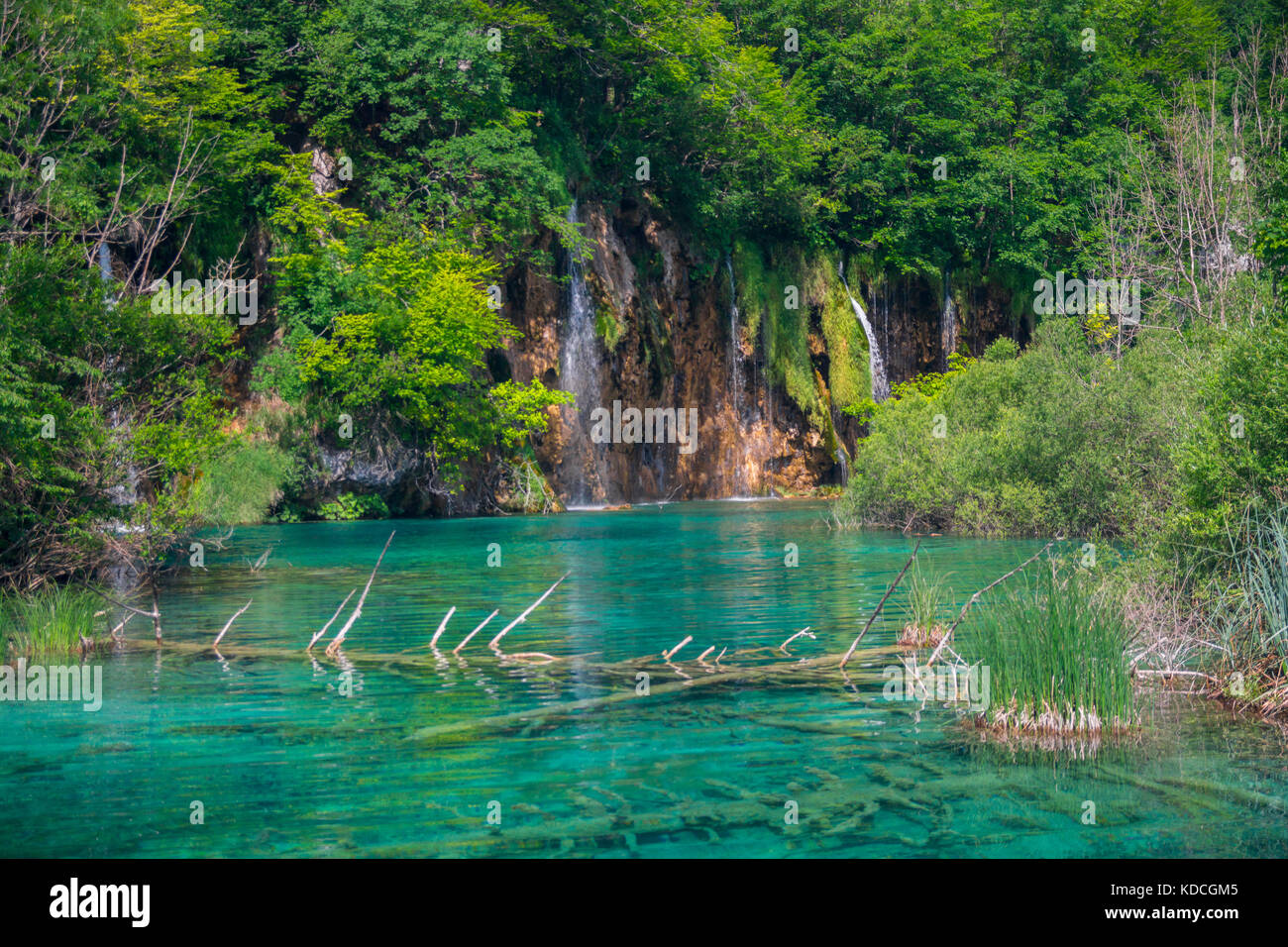 Plitvice lakes, National park, Croatia Stock Photo