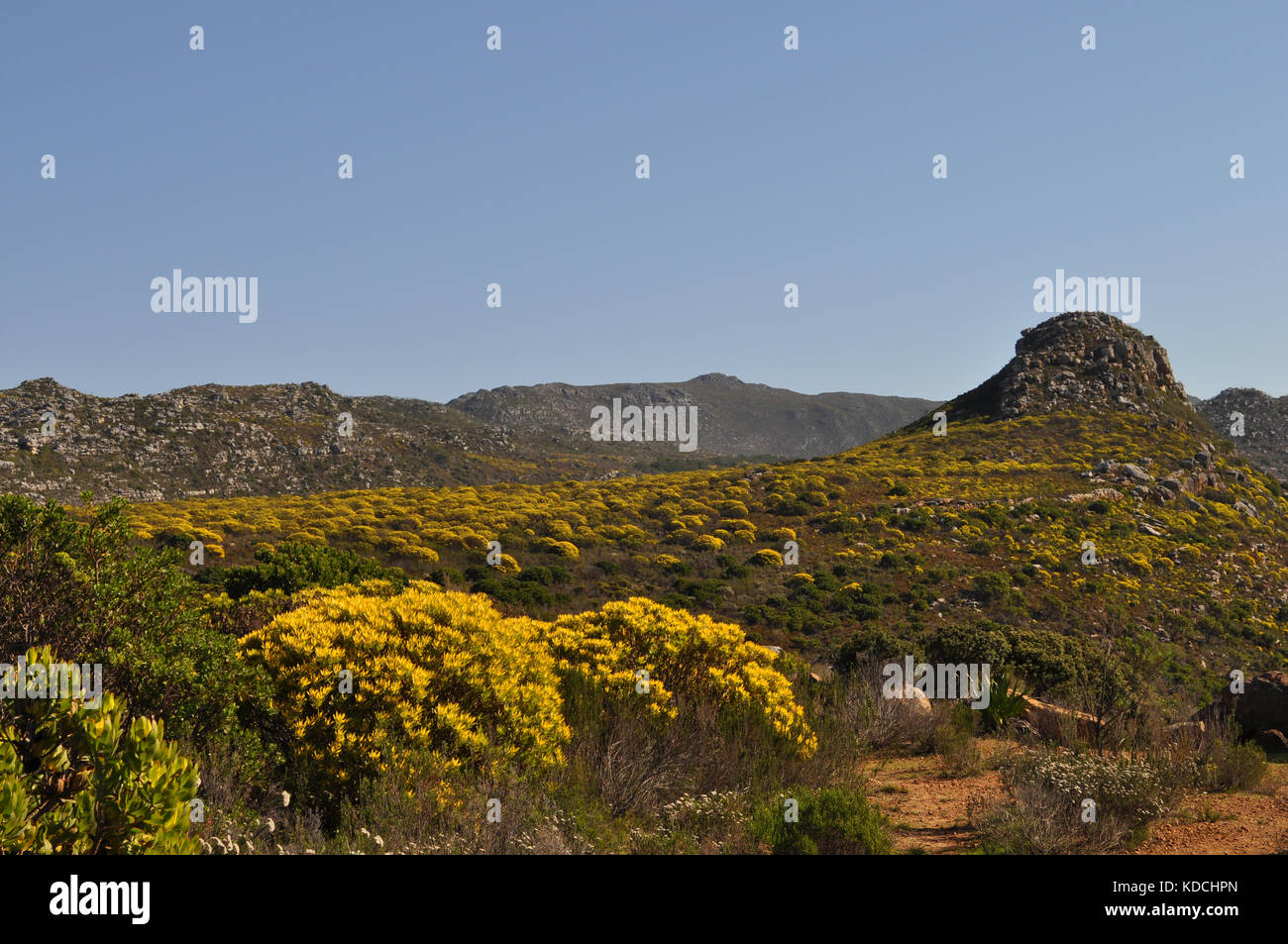 view near Silvermine Nature Reserve, Table Mountain National Park, Cape Town, South Africa Stock Photo