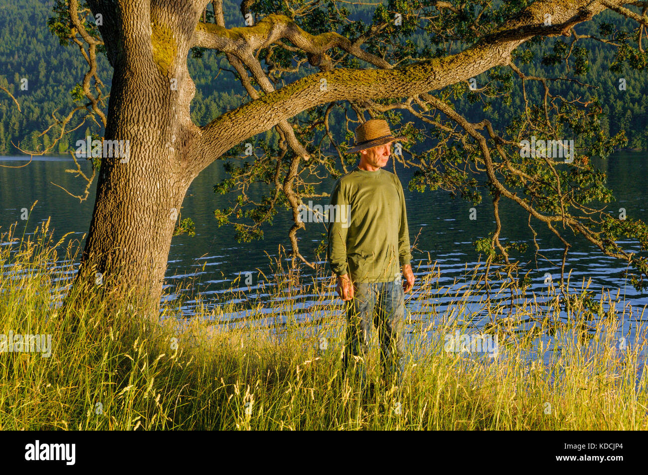 Man by Garry oak tree, Burgoyne Bay, Provincial Park, Salt Spring