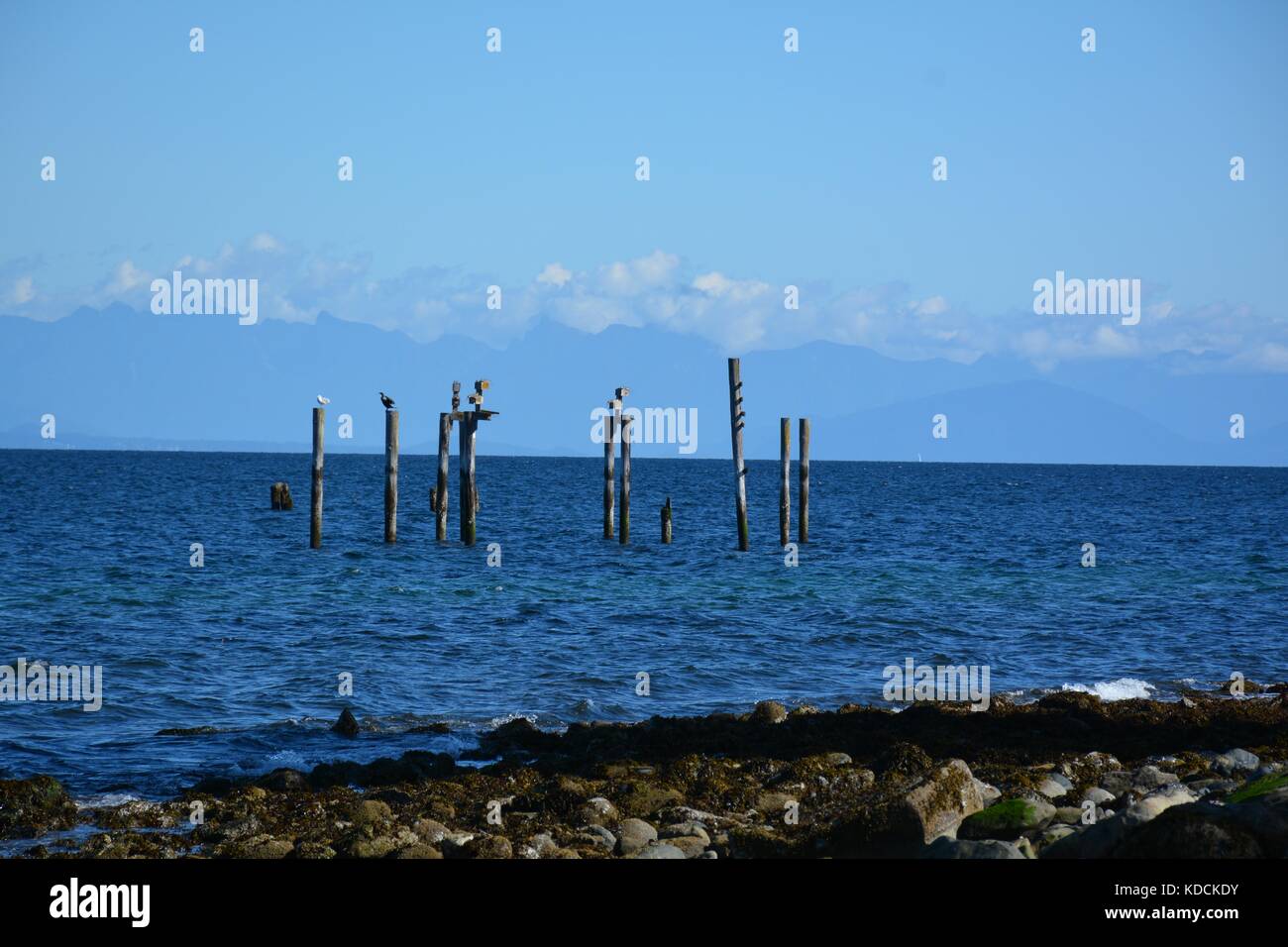 an amazing afternoon hike at ocean shore, Vancouver island. amazing view to capture a photograph. Stock Photo