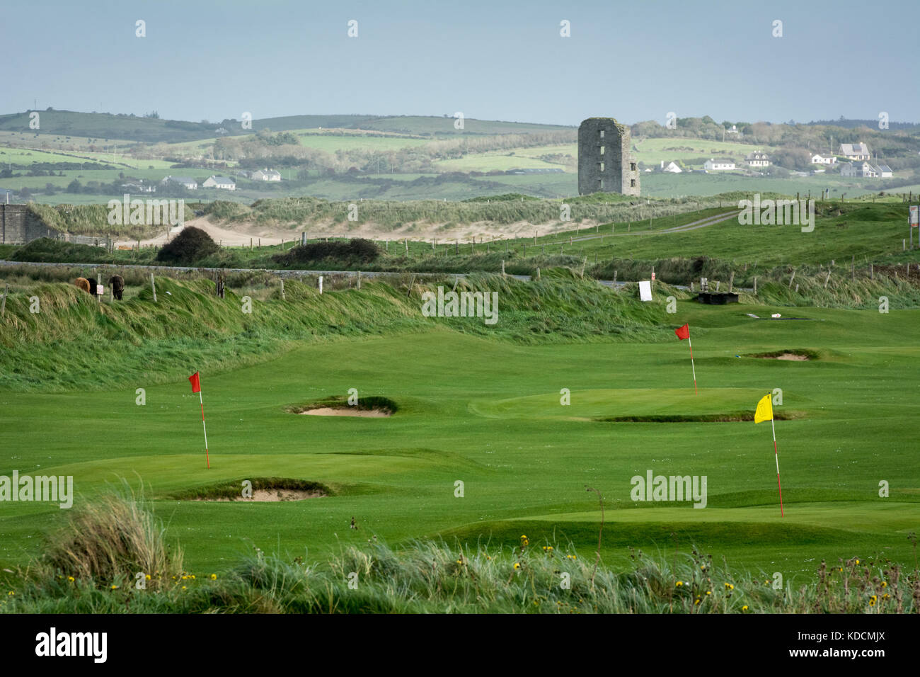 Golf flags and greens at the Pitch'n'Putt course near Lahinch in County Clare with Dough Castle and the Castle Golf Course in the landscape behind. Stock Photo