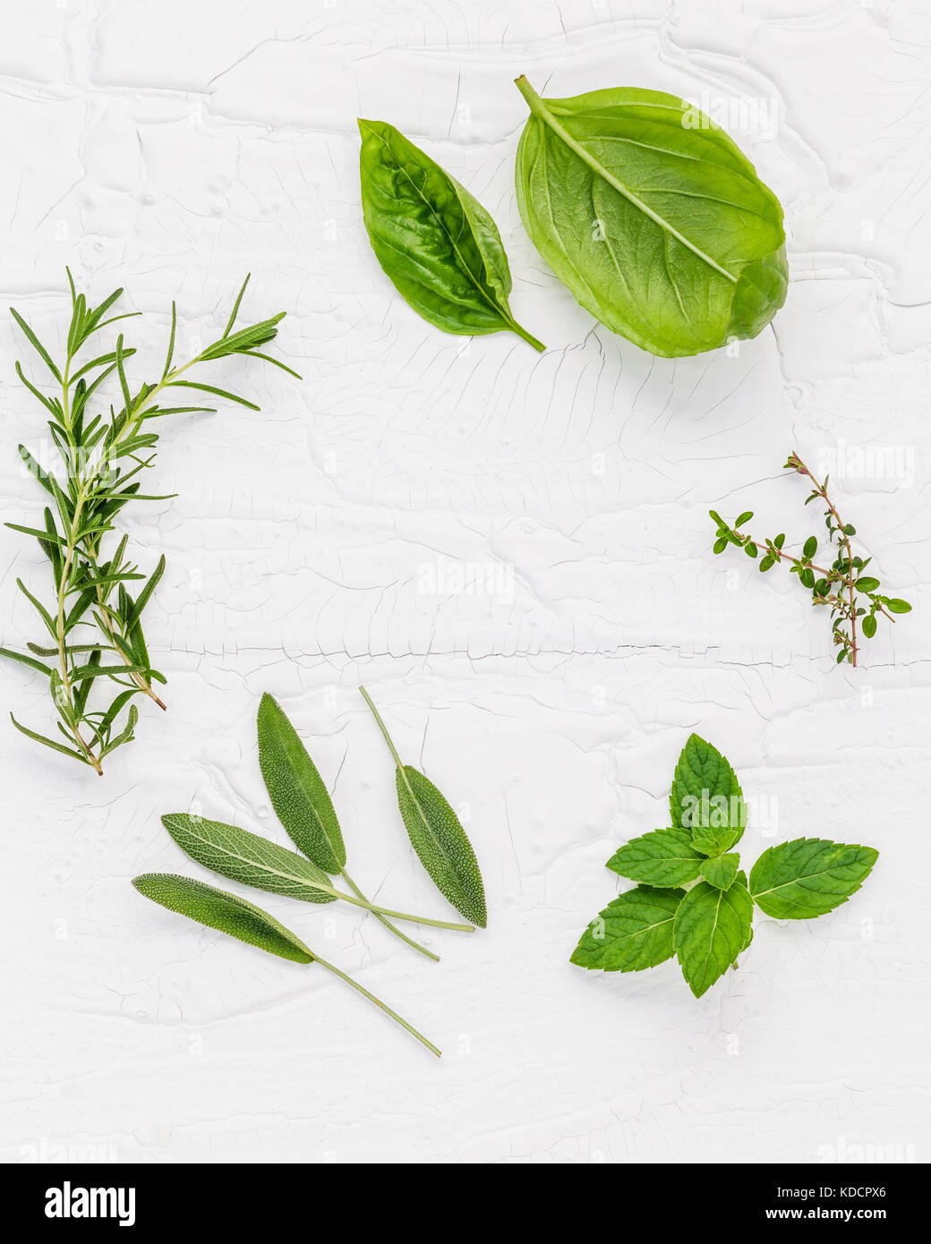 Various fresh herbs from the garden peppermint , sweet basil ,rosemary