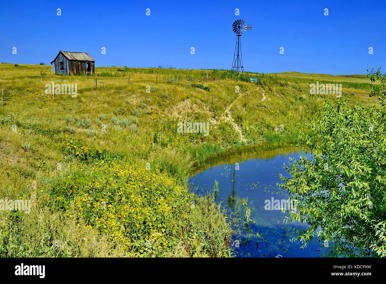 John Day Fossil Beds National Monument Oregon Stock Photo Alamy