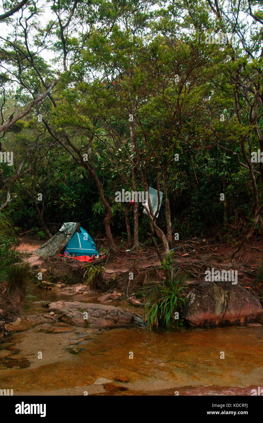 camping in the rainforest, chemerong berembun langsir, CBL, malaysia