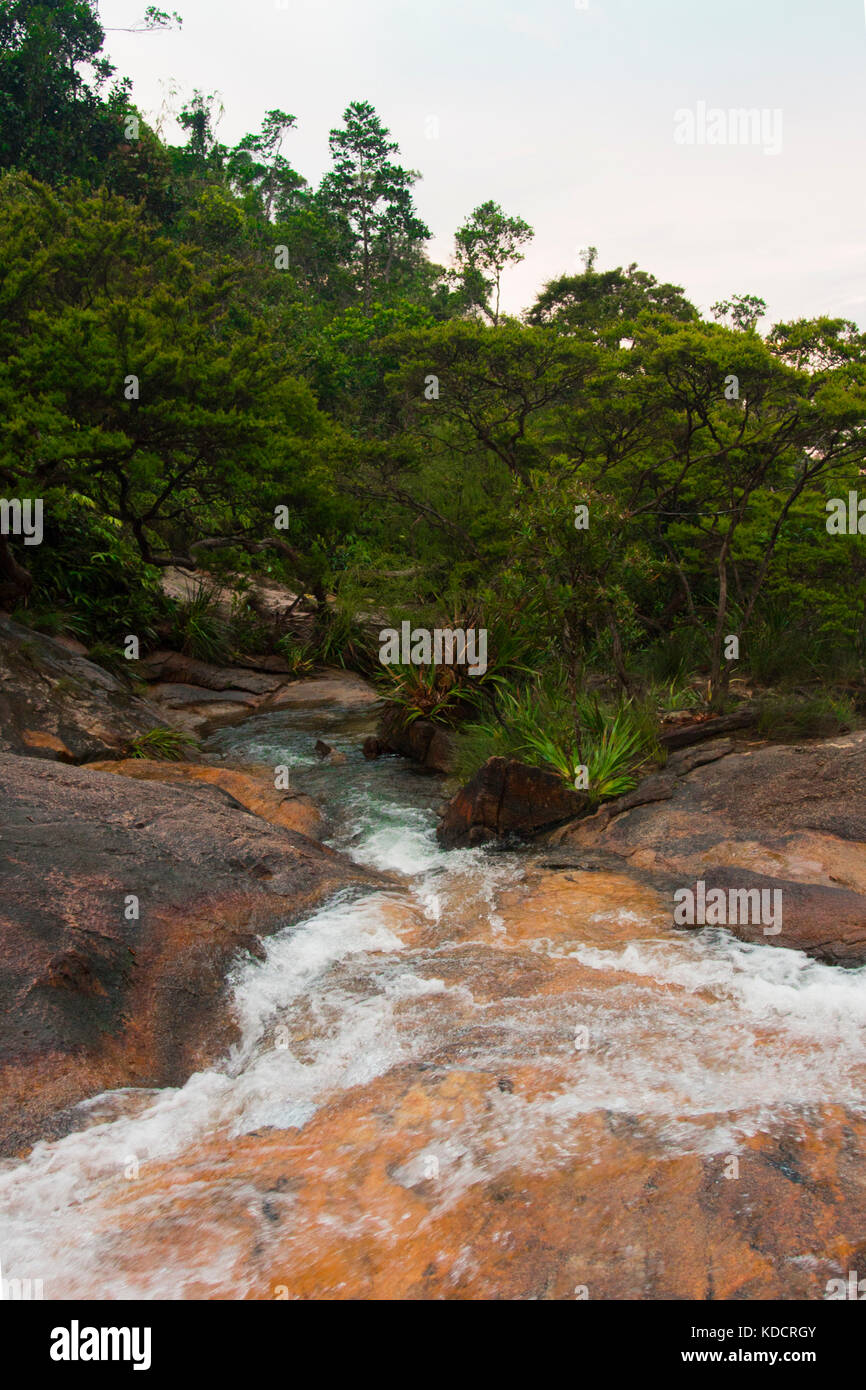 Flowing water around ropical rainforest, Chemerong Berembun Langsir, CBL, malaysia Stock Photo