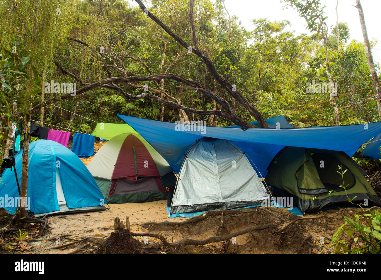camping in the rainforest, chemerong berembun langsir, CBL, malaysia