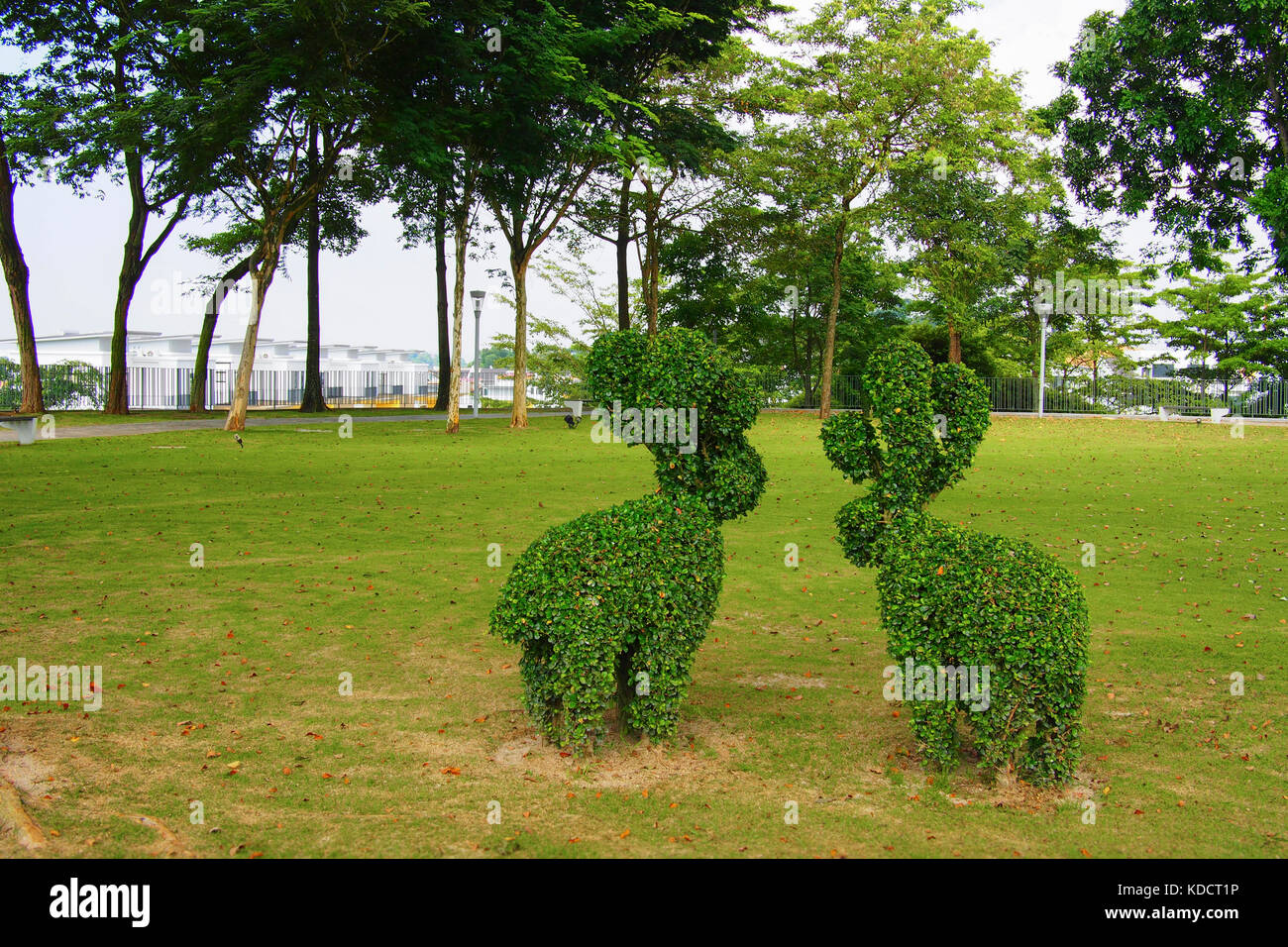 two topiary deer in the park Stock Photo